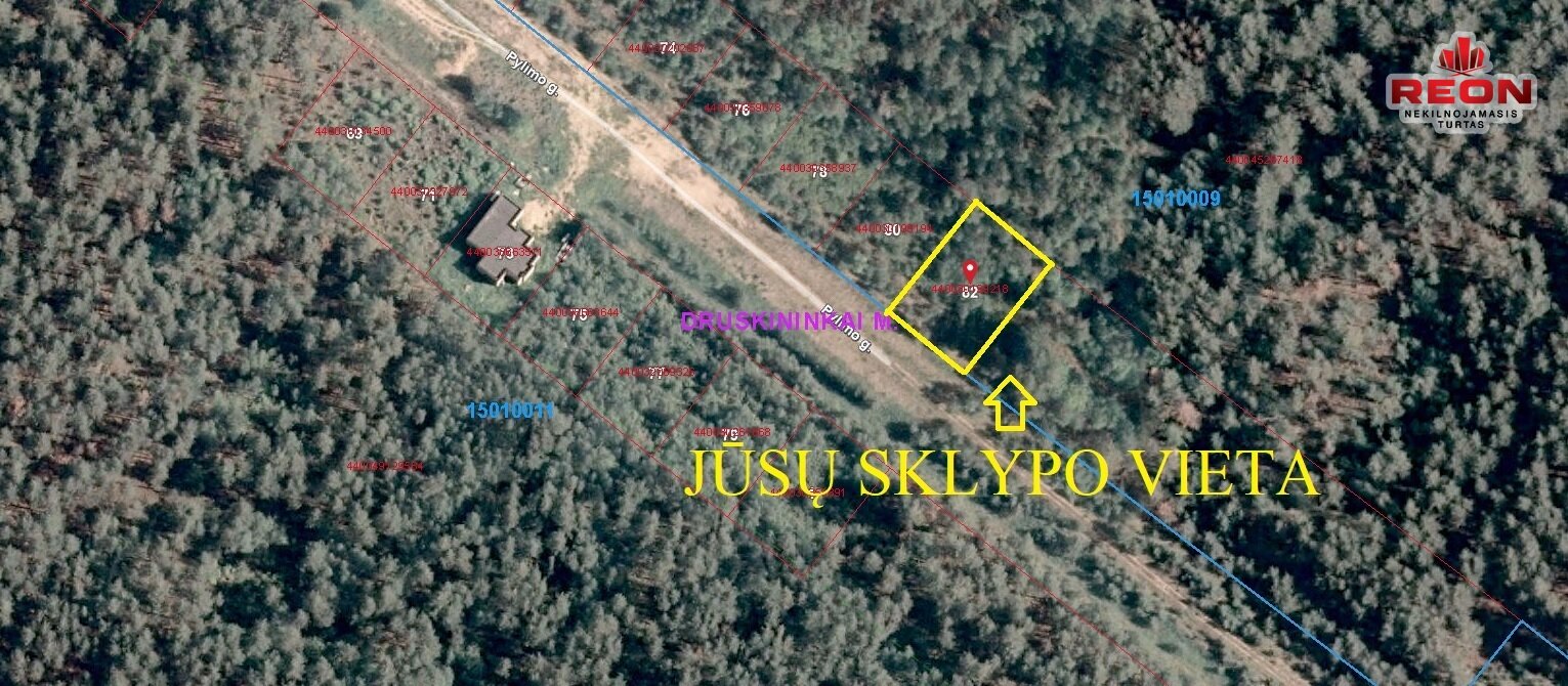 Sklypas Druskininkų sav., Druskininkuose, Pylimo g. – nuotrauka 6