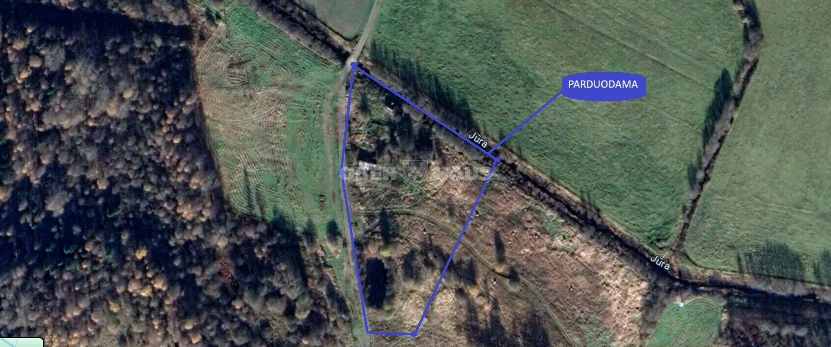 Sklypas Rietavo sav., Pauškėse – nuotrauka 4
