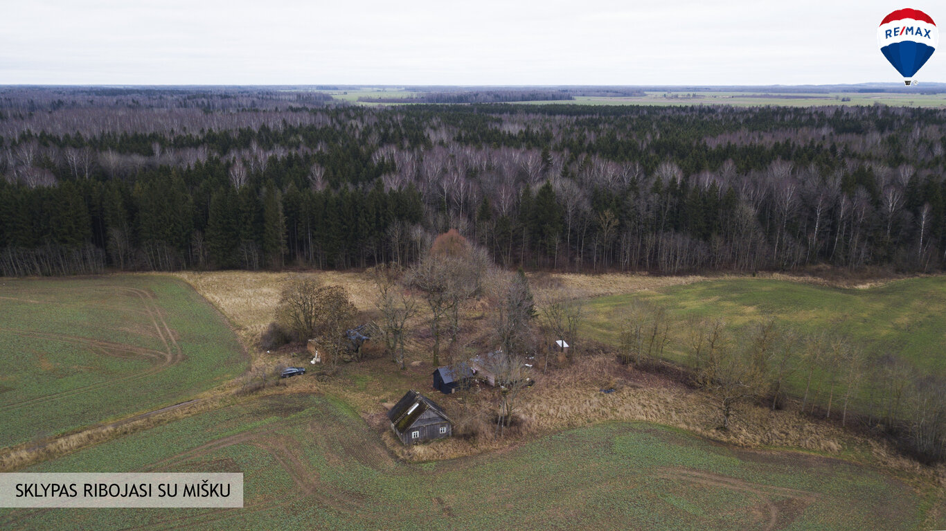 Sklypas Radviliškio rajono sav., Dvarninkuose – nuotrauka 4