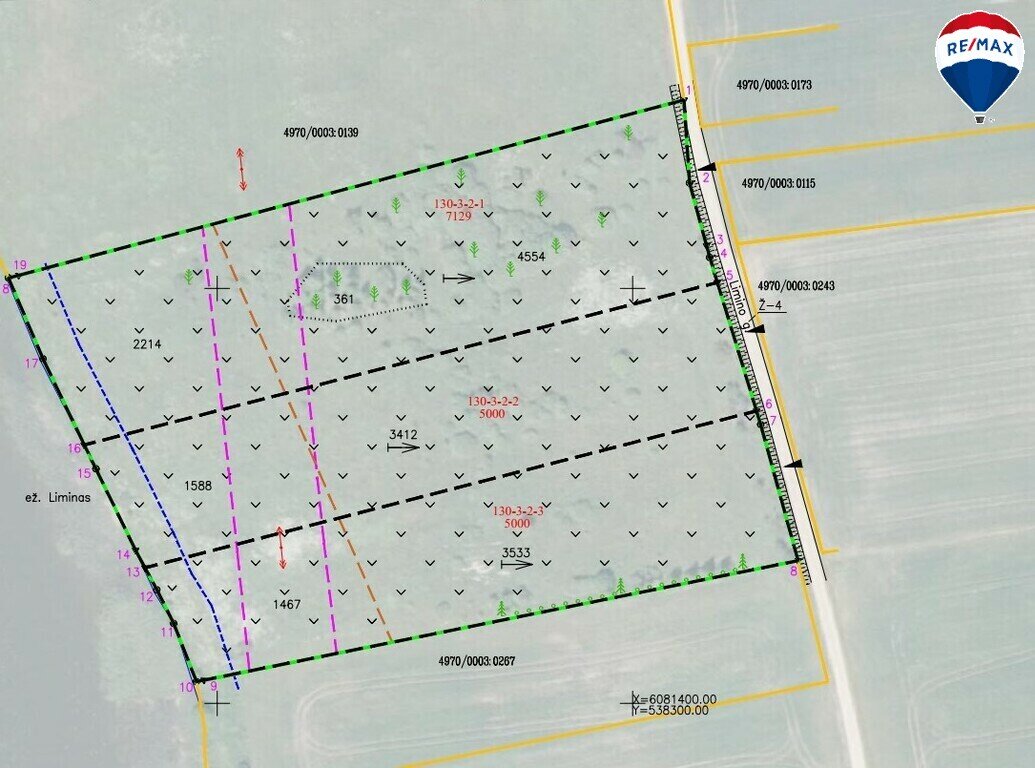 Sklypas Kaišiadorių rajono sav., Žasliuose – nuotrauka 6