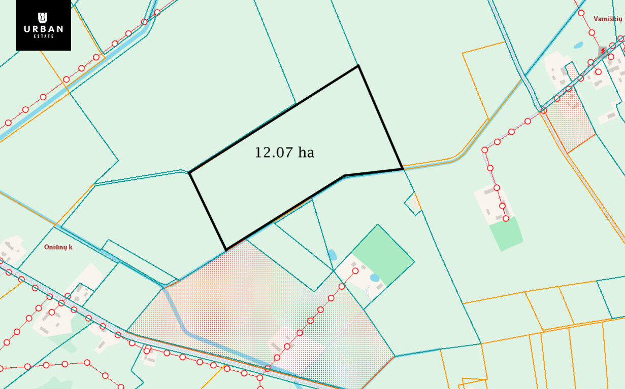 Sklypas Kupiškio rajono sav., Oniūnuose – nuotrauka 4