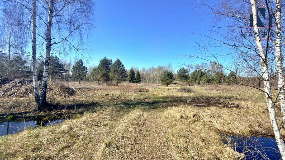 Sklypas Vilniaus rajono sav., Raisteniškėse – nuotrauka 4