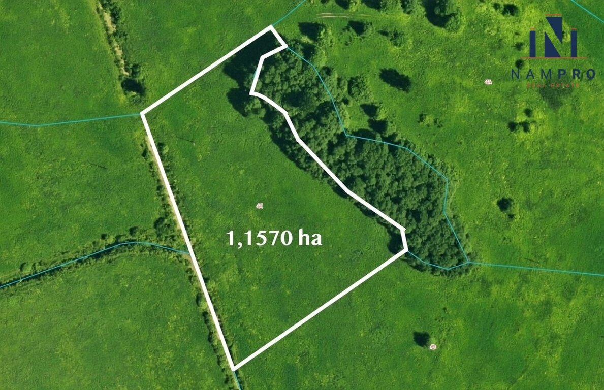 Sklypas Molėtų rajono sav., Mažeikiuose – nuotrauka 6
