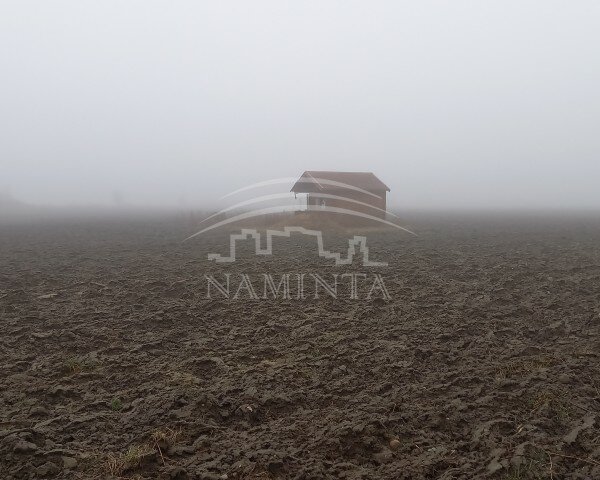 Sklypas Klaipėdos rajono sav., Baukštininkuose – nuotrauka 4