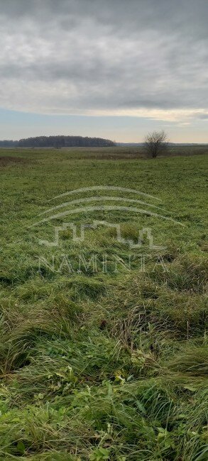 Sklypas Klaipėdos rajono sav., Ežaičiuose – nuotrauka 5