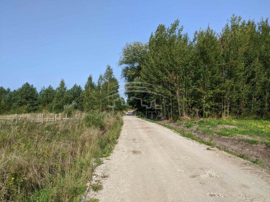 Sklypas Klaipėdos rajono sav., Dituvoje – nuotrauka 2