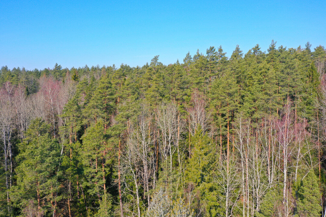 Sklypas Trakų rajono sav., Aukštadvaryje – nuotrauka 3