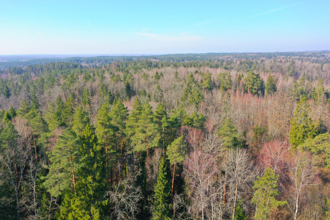 Sklypas Trakų rajono sav., Aukštadvaryje – nuotrauka 4