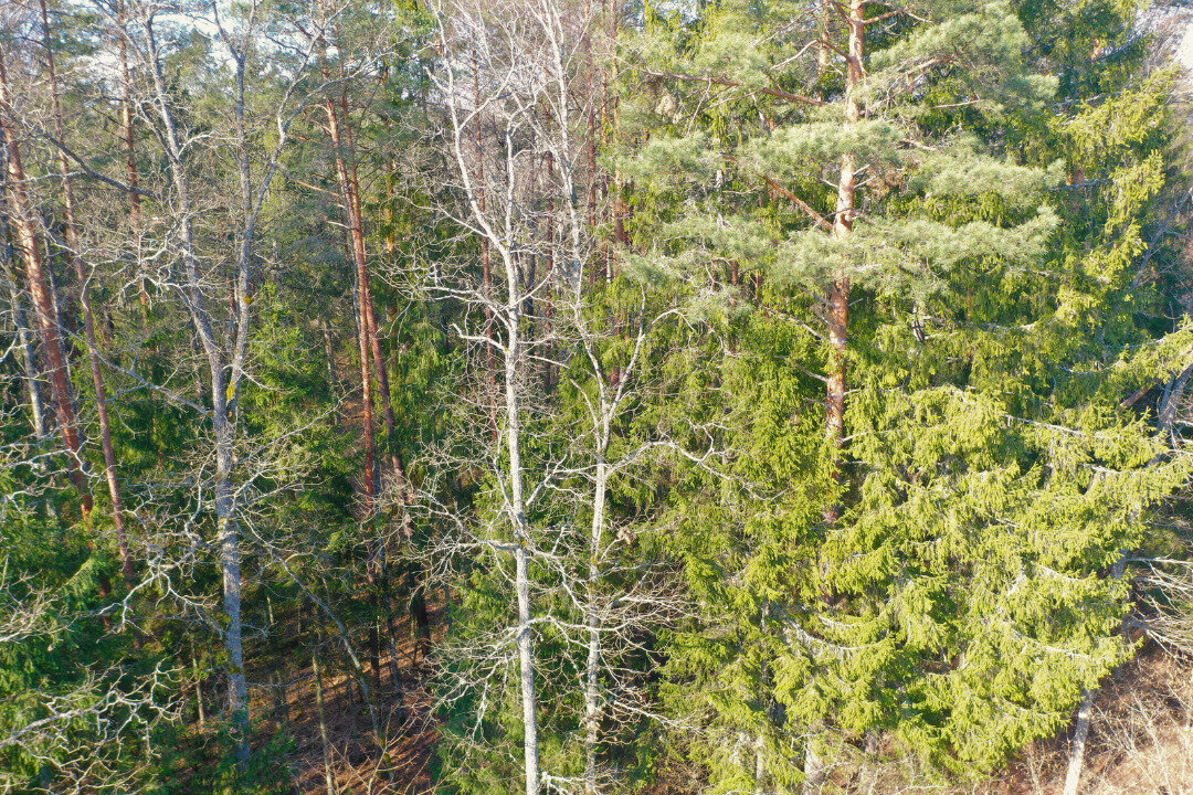 Sklypas Trakų rajono sav., Aukštadvaryje – nuotrauka 5