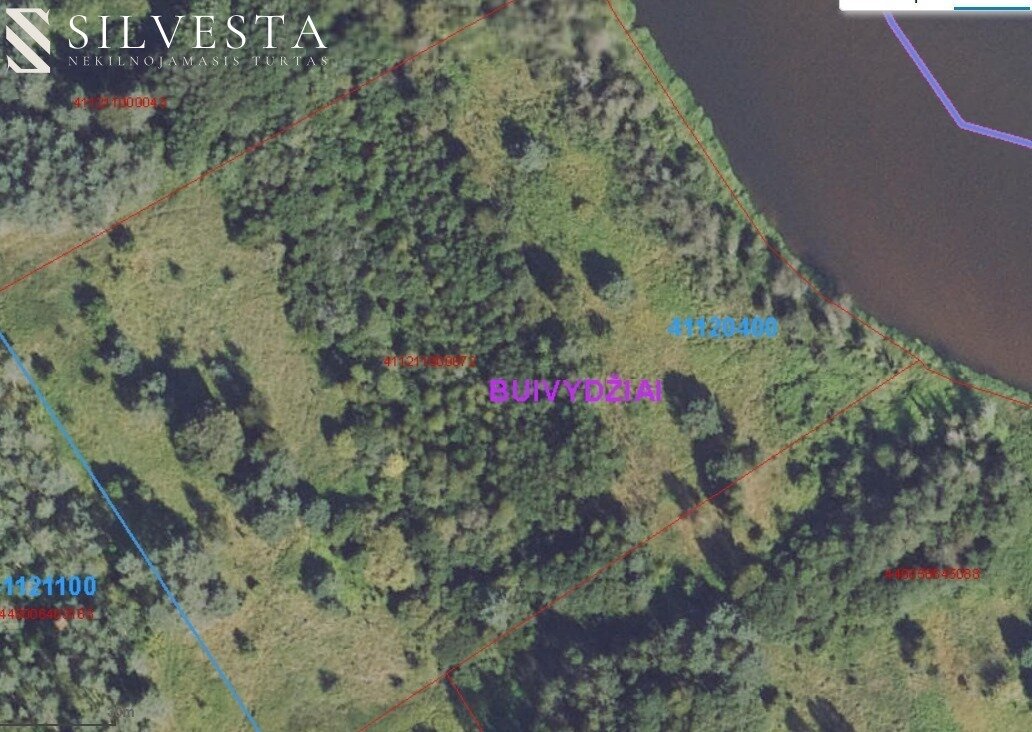 Sklypas Vilniaus rajono sav., Joninėse – nuotrauka 3