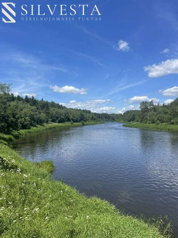 Sklypas Vilniaus rajono sav., Joninėse – nuotrauka 6