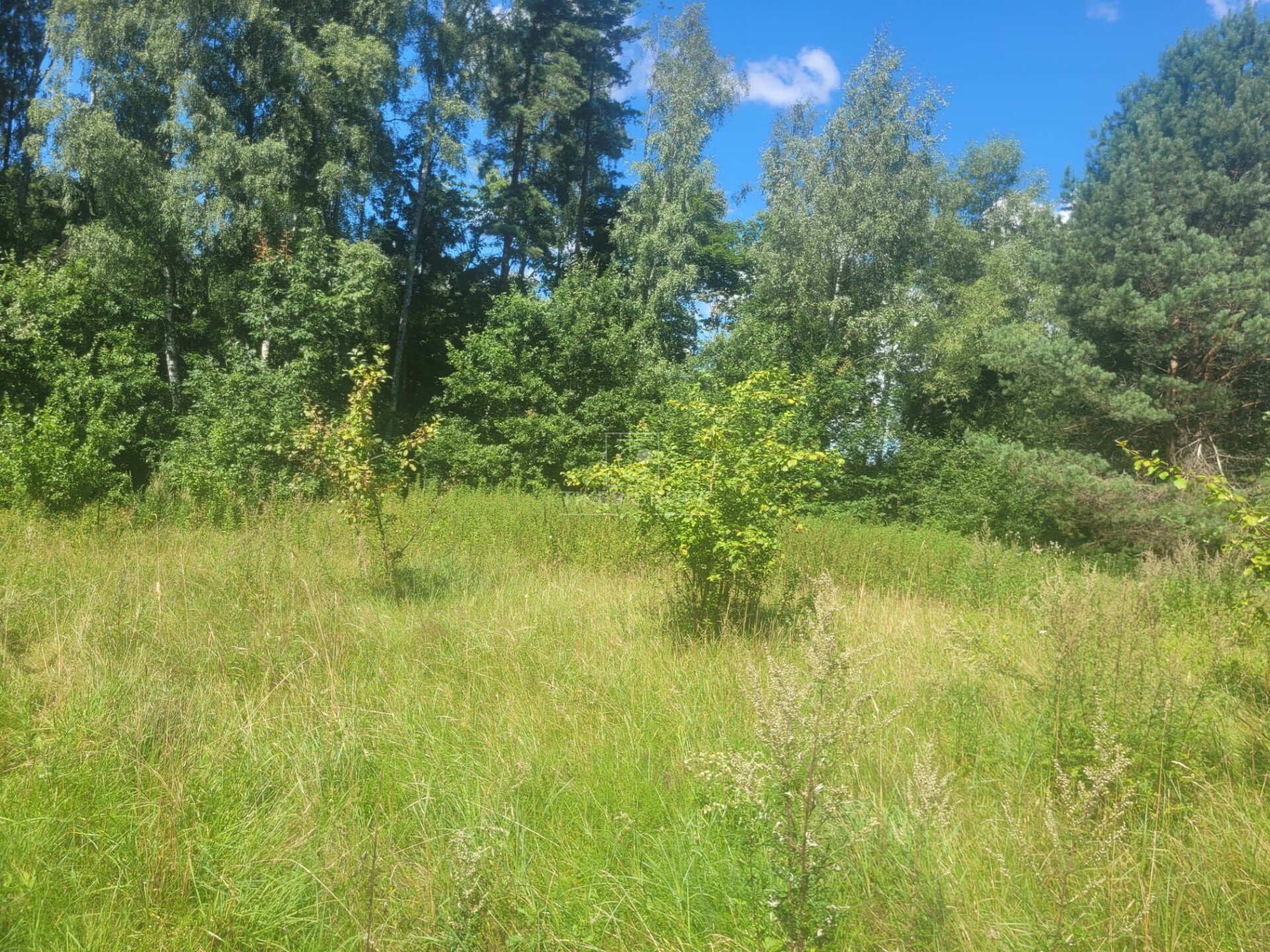 Sklypas Klaipėdos rajono sav., Kisiniuose – nuotrauka 2