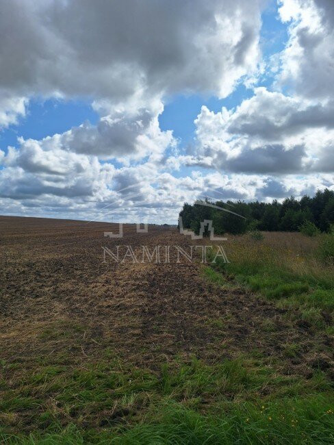 Sklypas Klaipėdos rajono sav., Alksniuose – nuotrauka 4