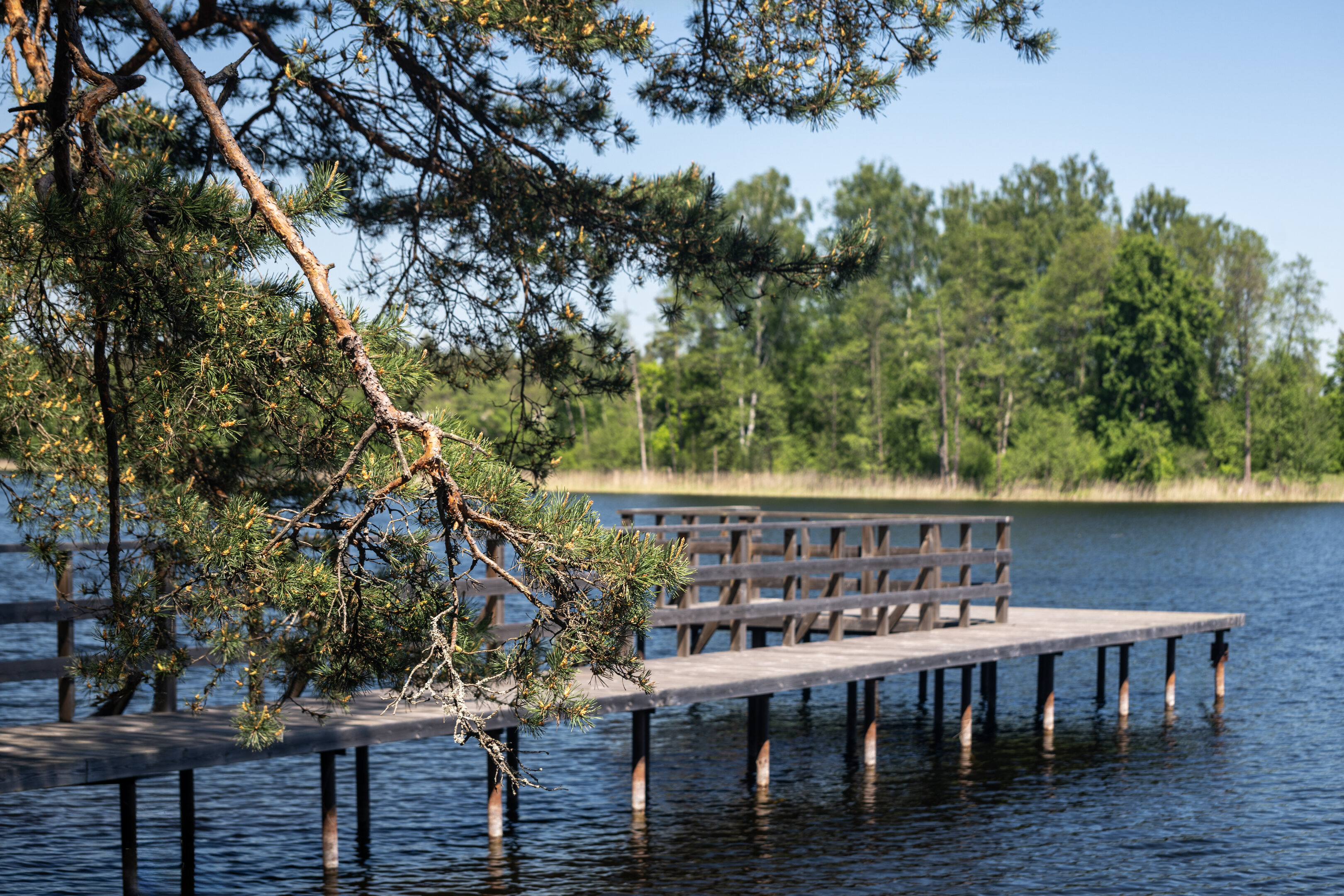 Sklypas Molėtų rajono sav., Kaulakiuose – nuotrauka 1