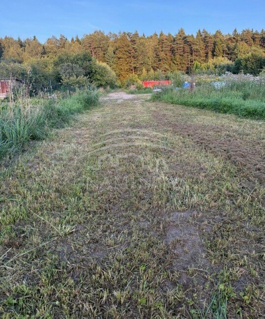Sklypas Kretingos rajono sav., Daubėnuose – nuotrauka 6