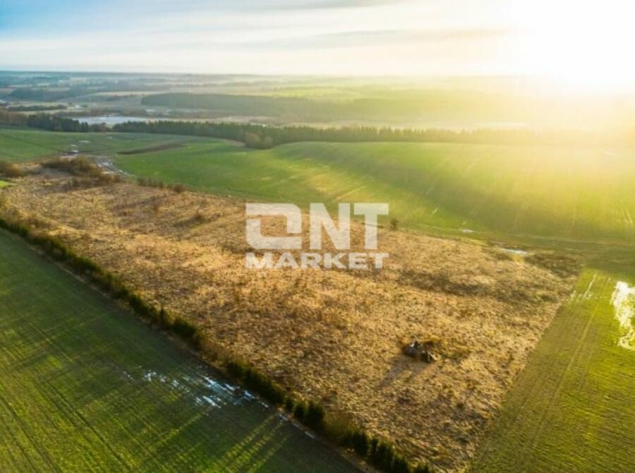 Sklypas Klaipėdos rajono sav., Kretingalėje, Klaipėdos g. – nuotrauka 2