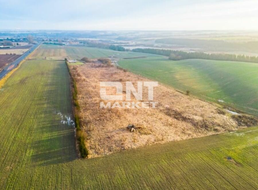 Sklypas Klaipėdos rajono sav., Kretingalėje, Klaipėdos g. – nuotrauka 4