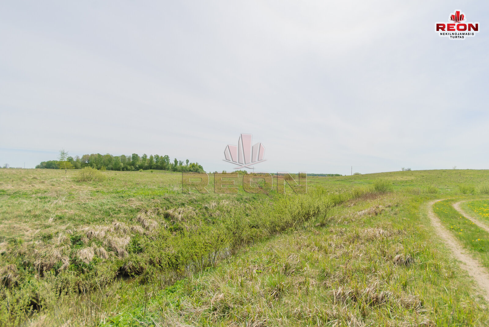 Sklypas Vilniaus rajono sav., Maišiagaloje, Kiemelių g. – nuotrauka 6