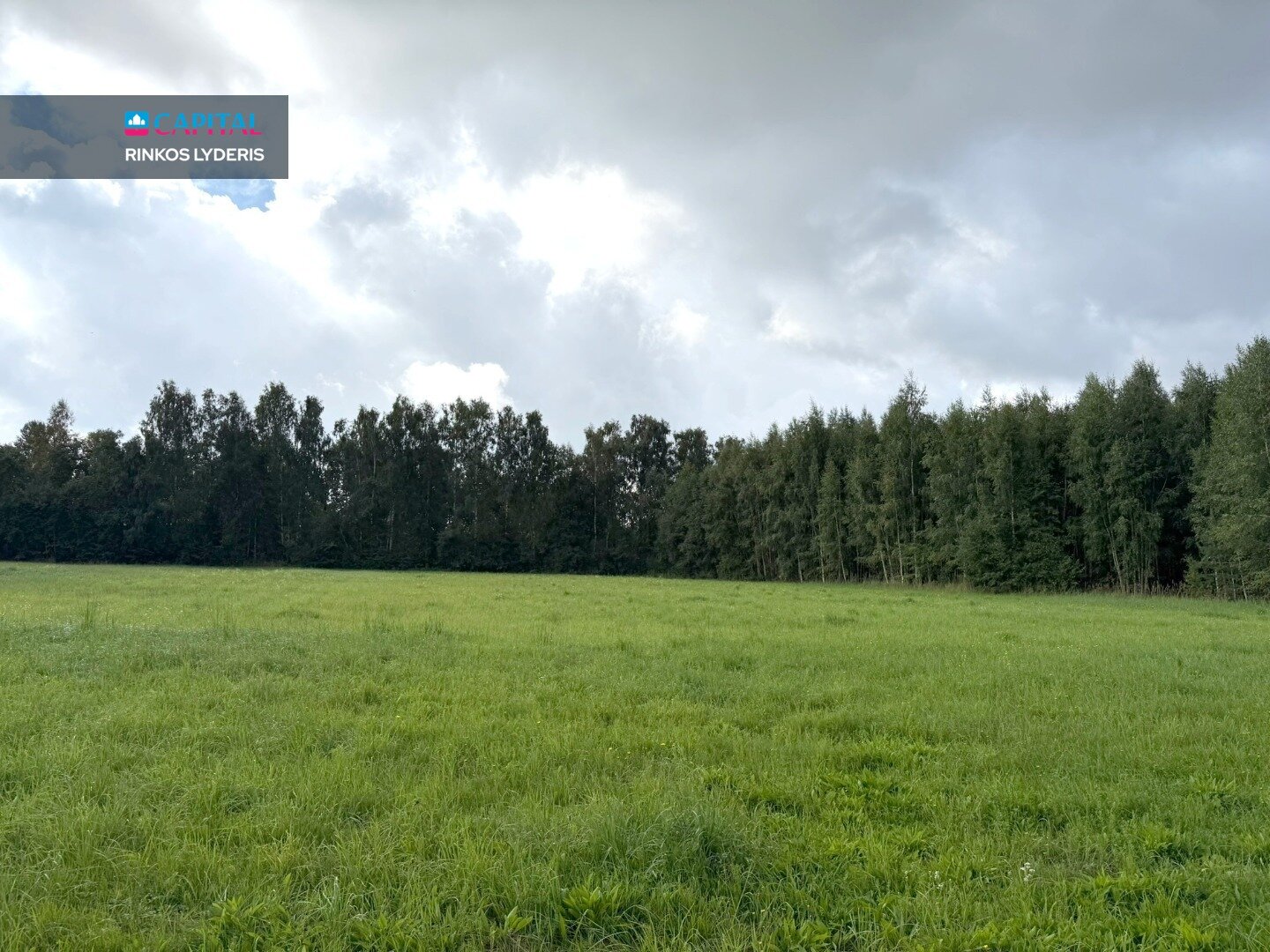 Sklypas Panevėžio rajono sav., Samanynėje – nuotrauka 4