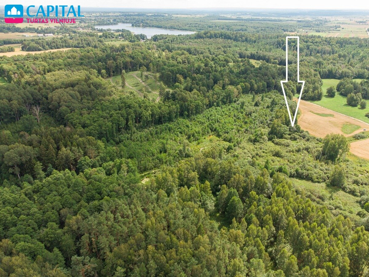 Sklypas Vilniaus rajono sav., Barzdžiūnuose – nuotrauka 3
