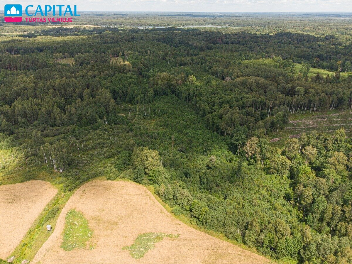 Sklypas Vilniaus rajono sav., Barzdžiūnuose – nuotrauka 5