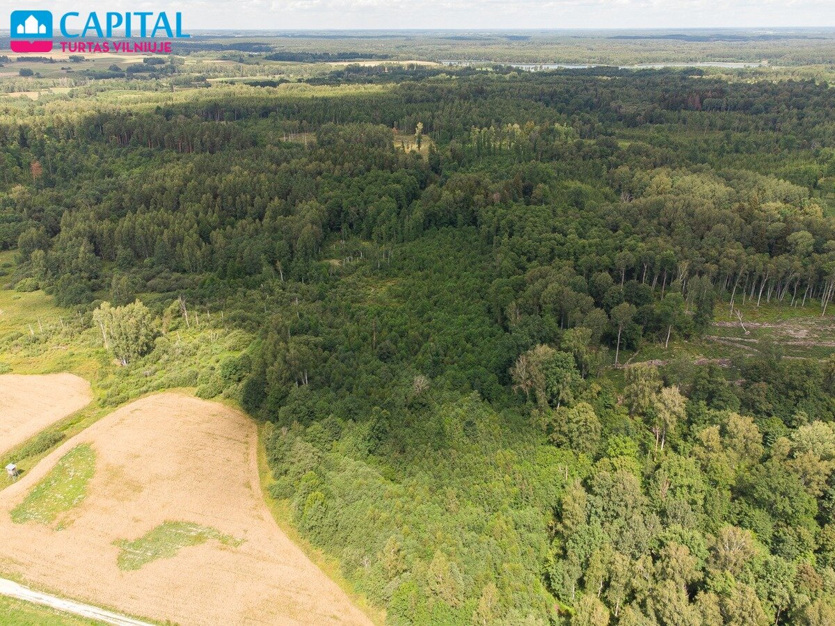 Sklypas Vilniaus rajono sav., Barzdžiūnuose – nuotrauka 6