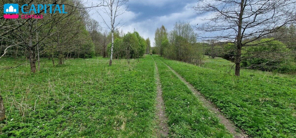 Sklypas Raseinių rajono sav., Godlaukyje – nuotrauka 6