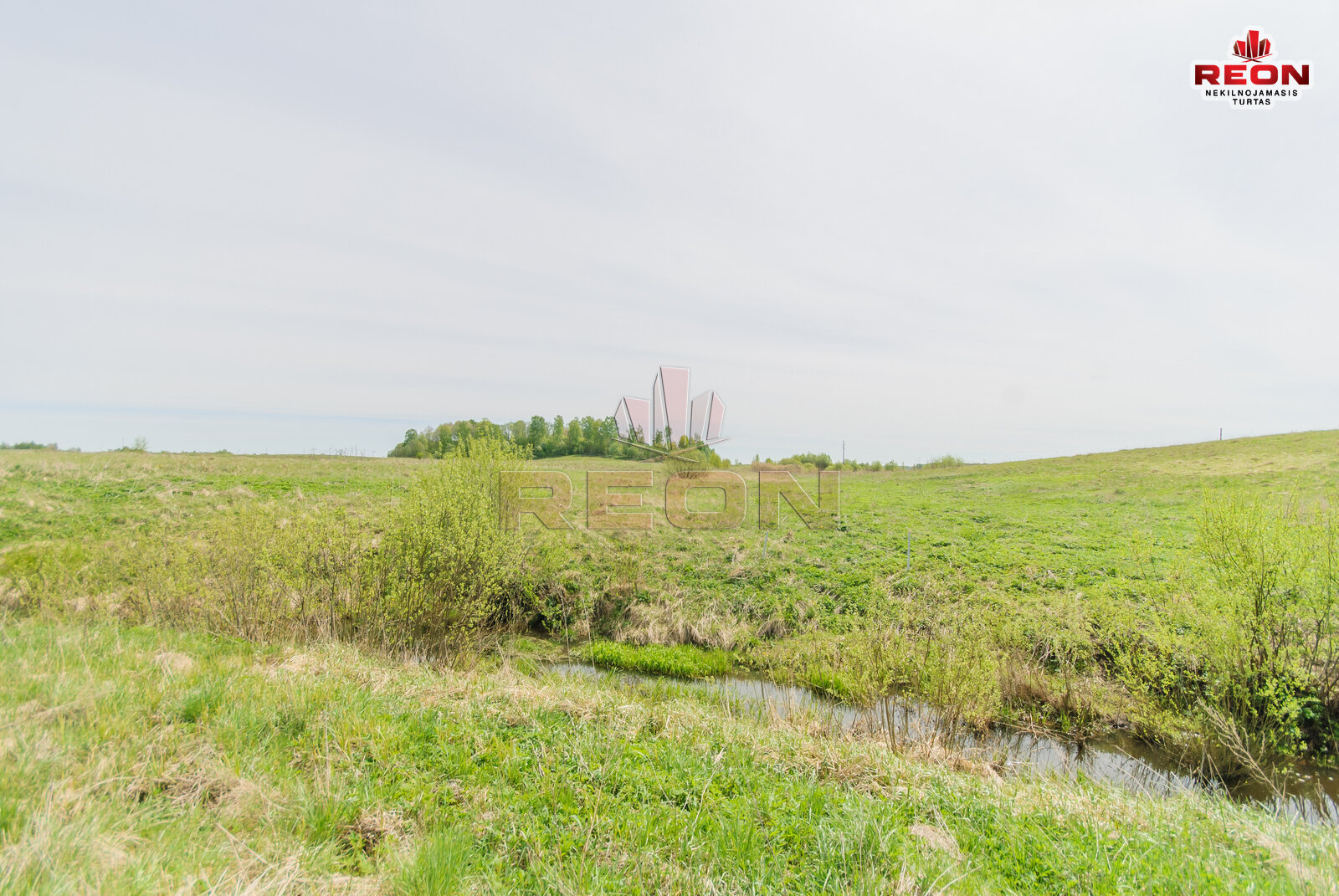 Sklypas Vilniaus rajono sav., Maišiagaloje, Kiemelių g. – nuotrauka 4