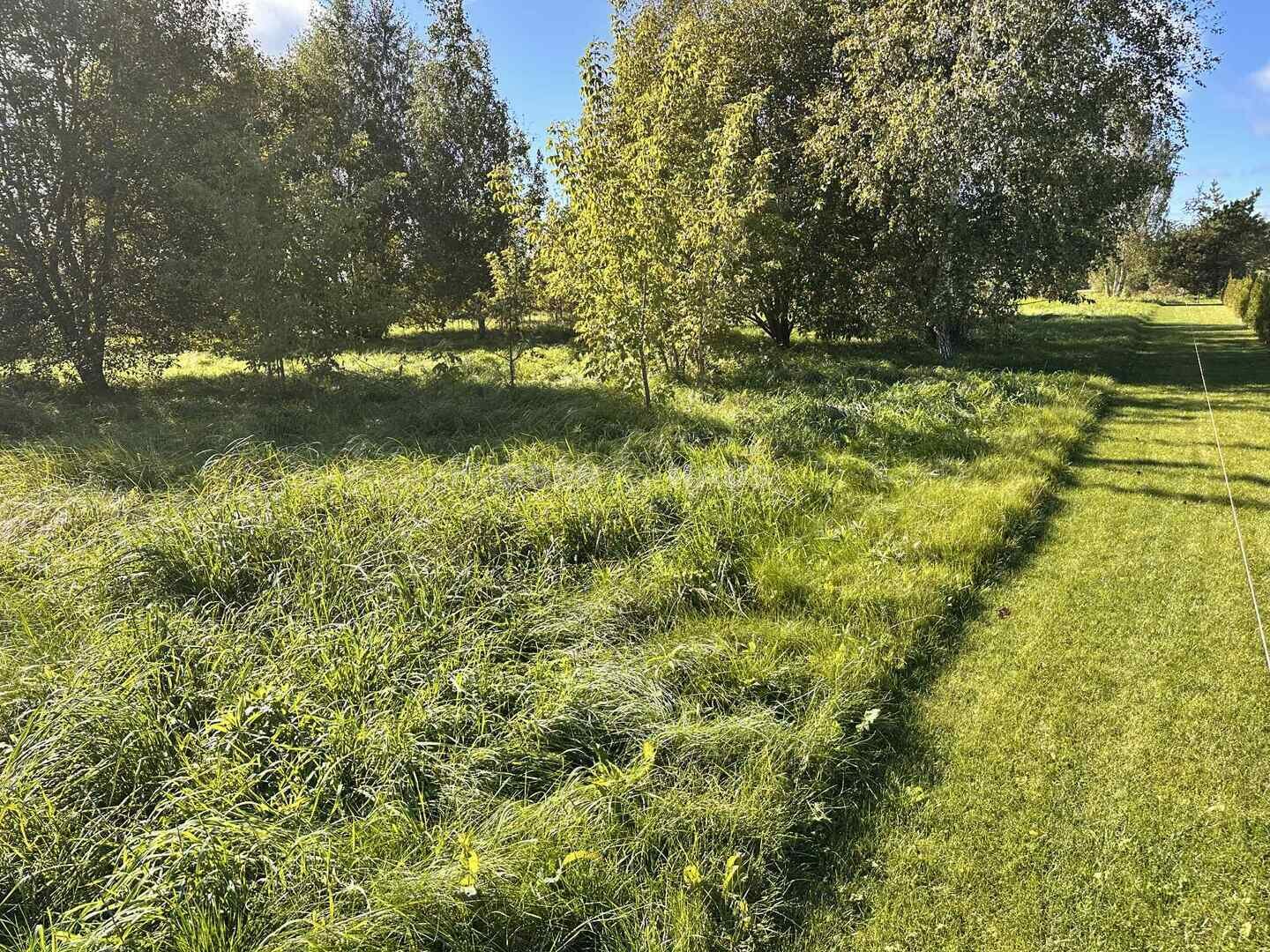Sklypas Rokiškio rajono sav., Rokiškyje, J. Janulionio g. – nuotrauka 3