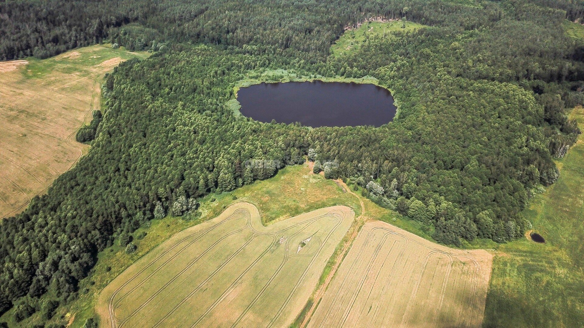 Sklypas Elektrėnų sav., Lapaikoje – nuotrauka 4