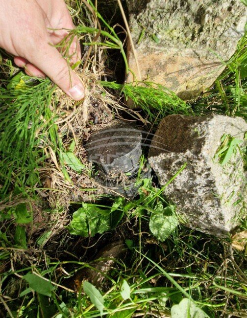 Sklypas Kretingos rajono sav., Kretingsodyje, Begonijų g. – nuotrauka 4