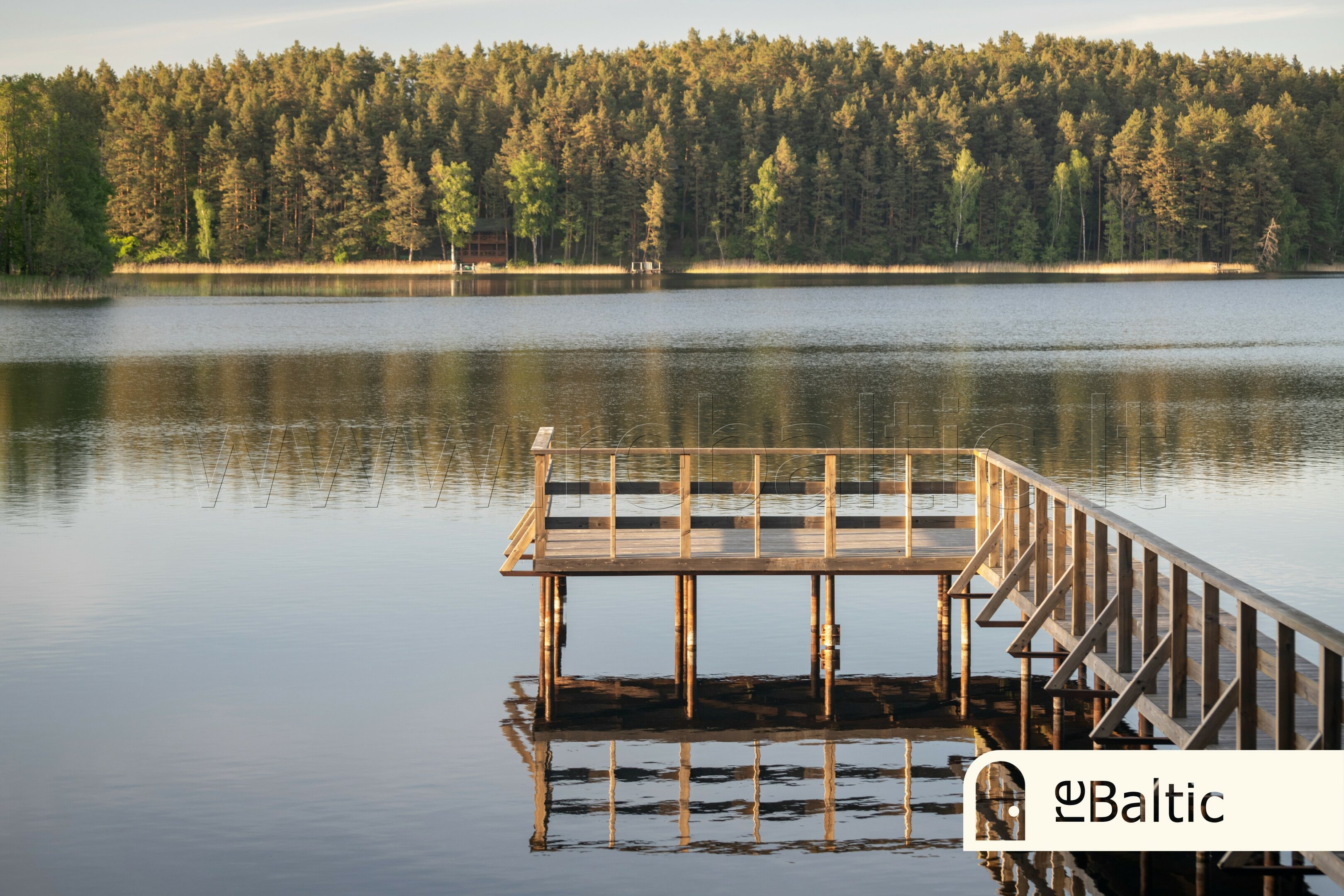 Sklypas Molėtų rajono sav., Kaulakiuose – nuotrauka 3
