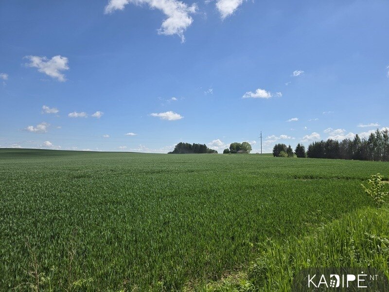 Land Vilniaus rajono sav., Kudriuose – image 3