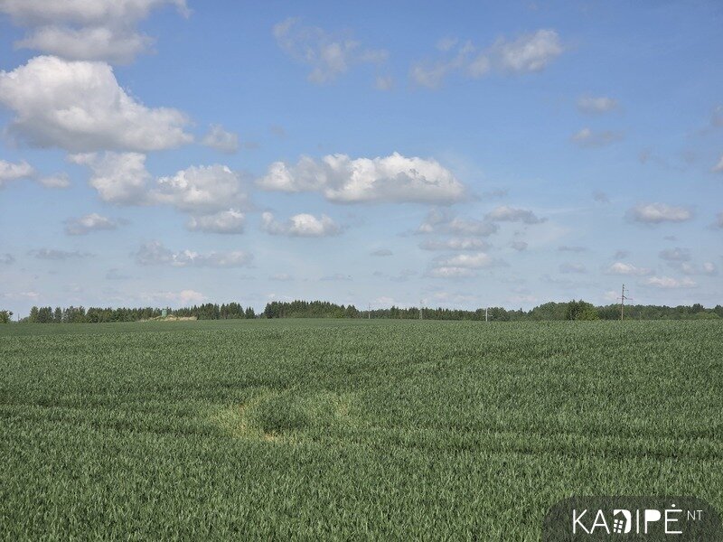 Land Vilniaus rajono sav., Kudriuose – image 5