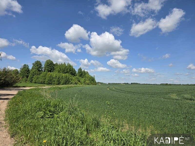 Land Vilniaus rajono sav., Kudriuose – image 6