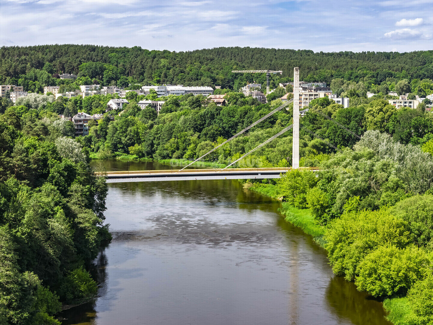 Sklypas Vilniuje, Žvėryne, Birutės g. – nuotrauka 5