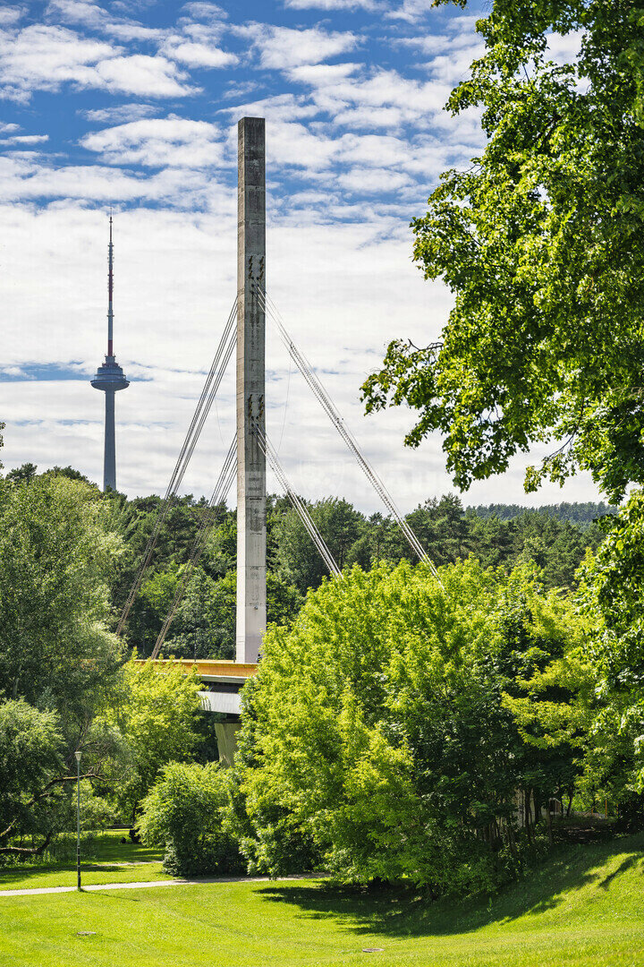 Sklypas Vilniuje, Žvėryne, Birutės g. – nuotrauka 6