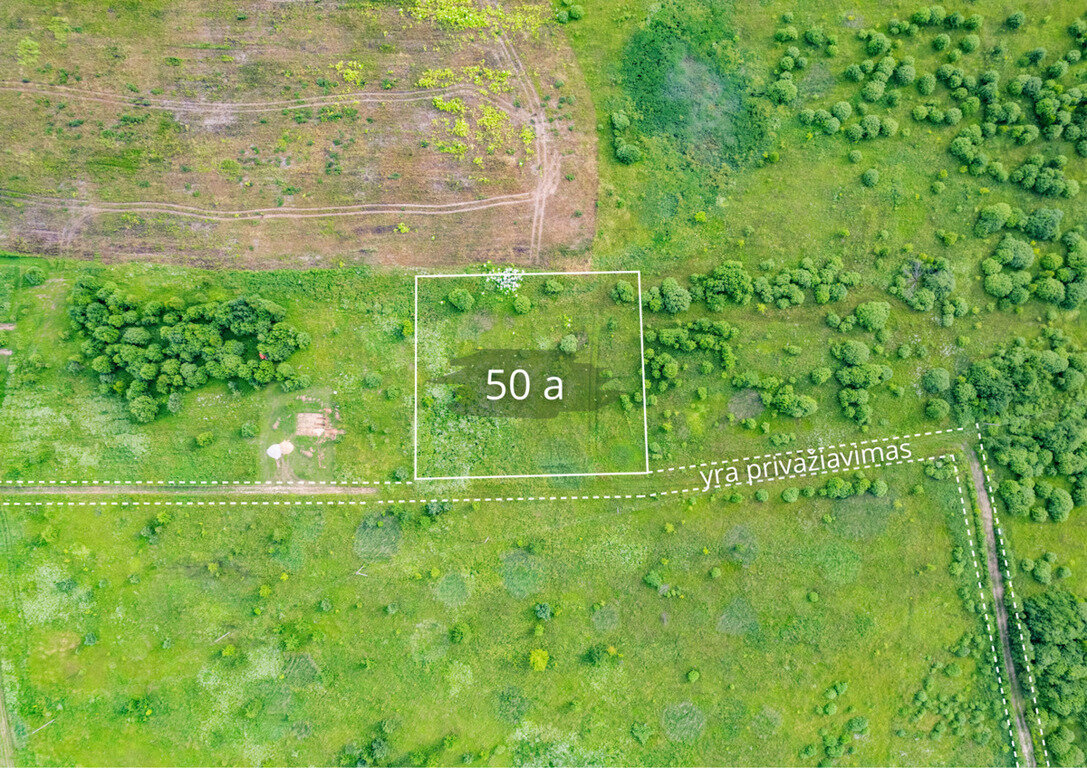 Sklypas Vilniaus rajono sav., Airėnai II – nuotrauka 6