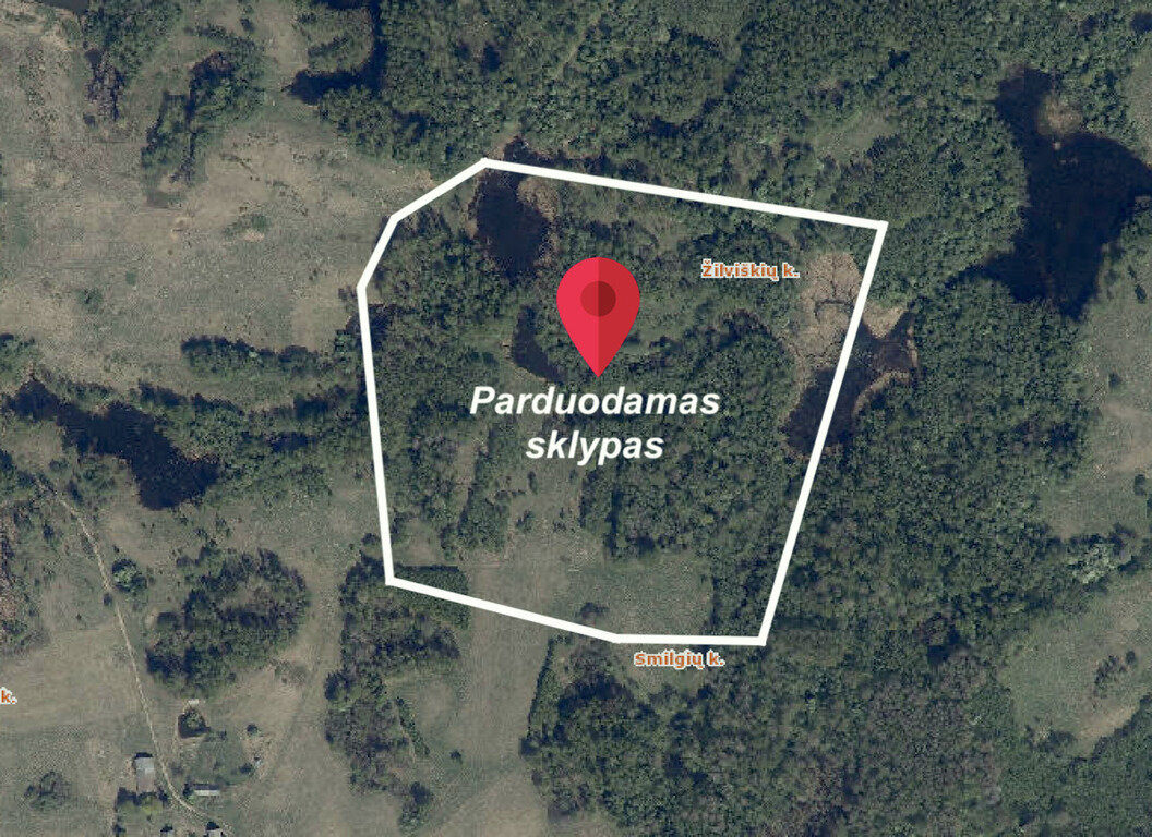 Sklypas Vilniaus rajono sav., Žilviškėse – nuotrauka 1