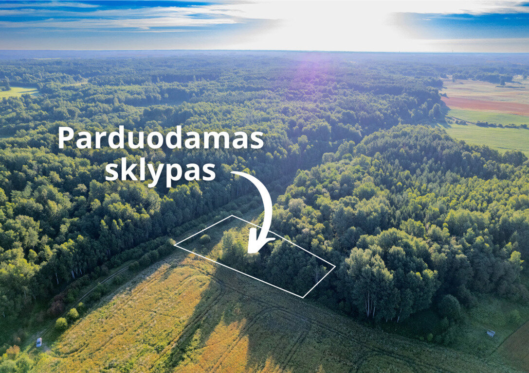 Sklypas Vilniaus rajono sav., Rudokuose – nuotrauka 1
