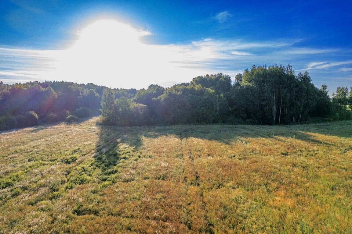 Sklypas Vilniaus rajono sav., Rudokuose – nuotrauka 5