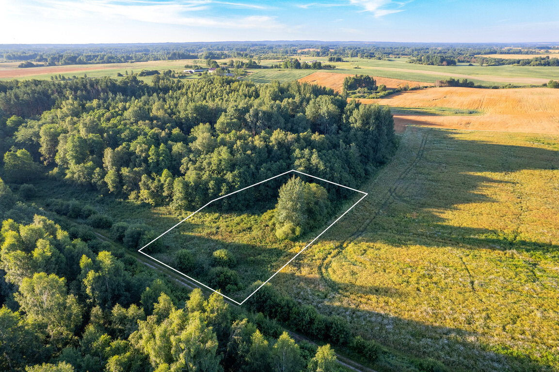 Sklypas Vilniaus rajono sav., Rudokuose – nuotrauka 6