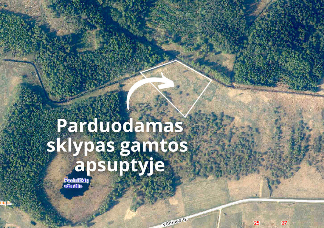 Sklypas Vilniaus rajono sav., Galinėje – nuotrauka 1