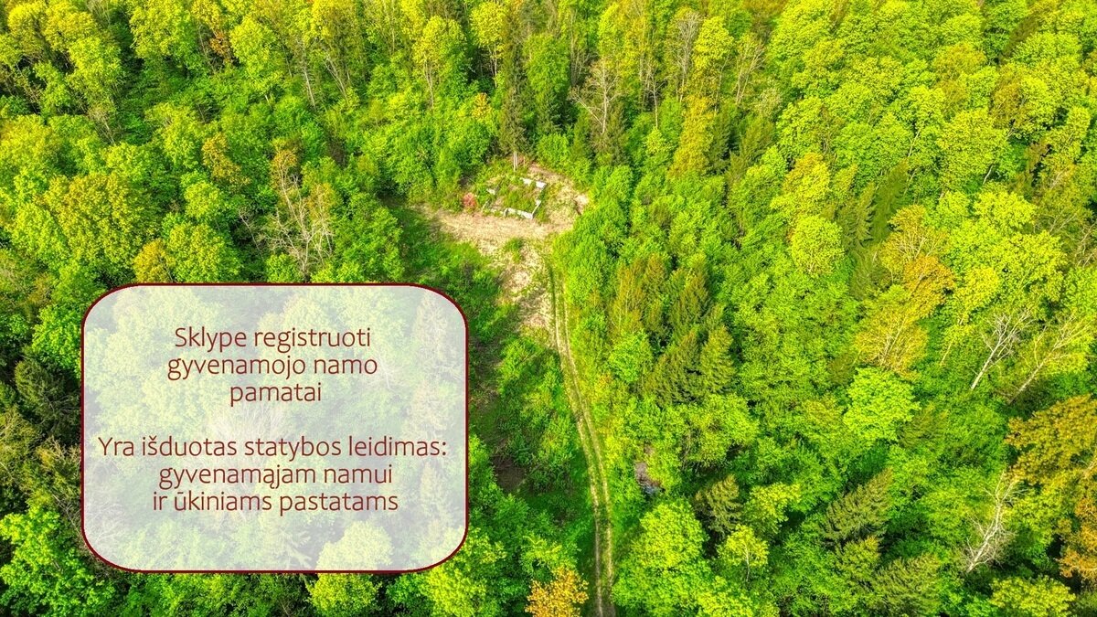 Sklypas Vilniaus rajono sav., Čekoniškėse – nuotrauka 3