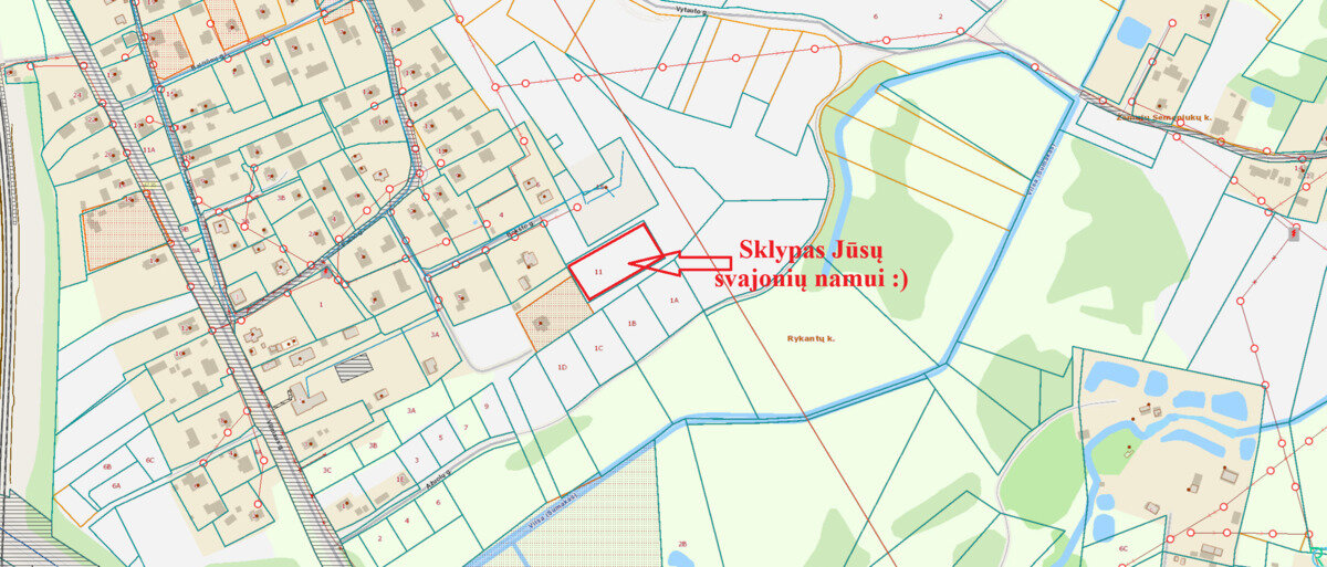 Sklypas Trakų rajono sav., Rykantuose – nuotrauka 4