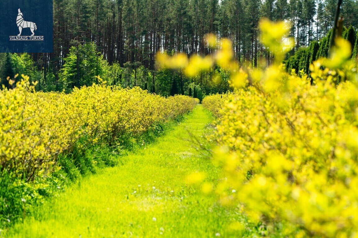 Sklypas Varėnos r. sav., Dargužiuose – nuotrauka 5