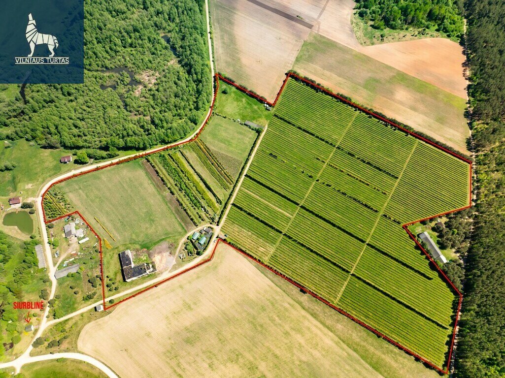 Sklypas Varėnos r. sav., Dargužiuose – nuotrauka 6