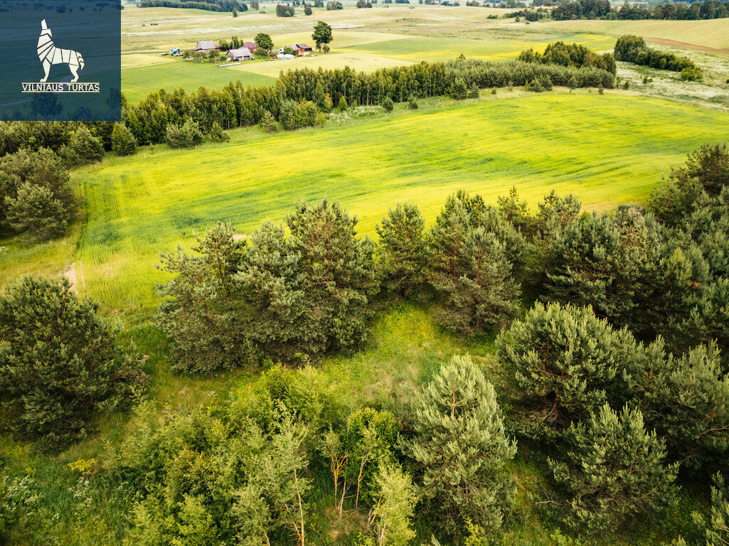 Sklypas Trakų r. sav., Staškūniškėse – nuotrauka 6