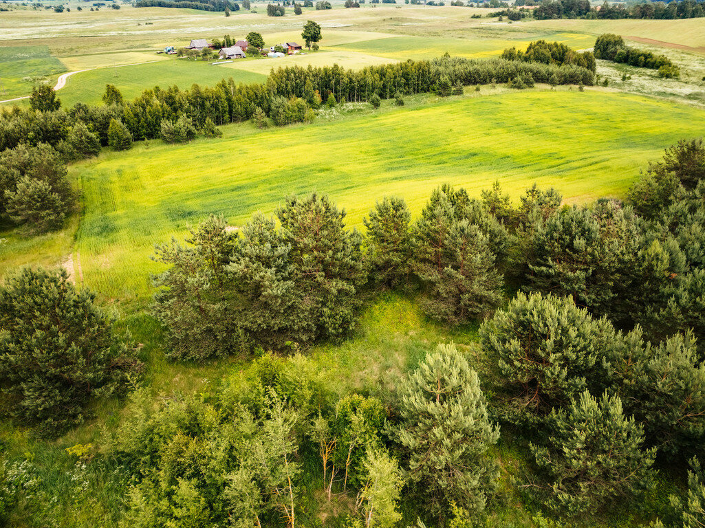 Sklypas Trakų rajono sav., Staškūniškėse – nuotrauka 6