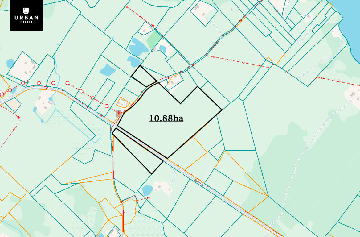 Sklypas Varėnos rajono sav., Ilgininkuose – nuotrauka 4